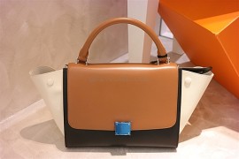 Celine Mini Trapeze Bianco (1)