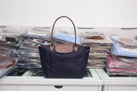 Longchamp Le Pliage Long Handle Small Bilberry 2605 089 645 (1)