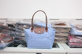 Longchamp Le Pliage Long Handle Small Lilac Blue 2605 089 A30 (1)