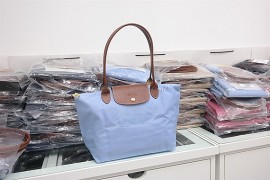 Longchamp Le Pliage Long Handle Small Lilac Blue 2605 089 A30 (2)